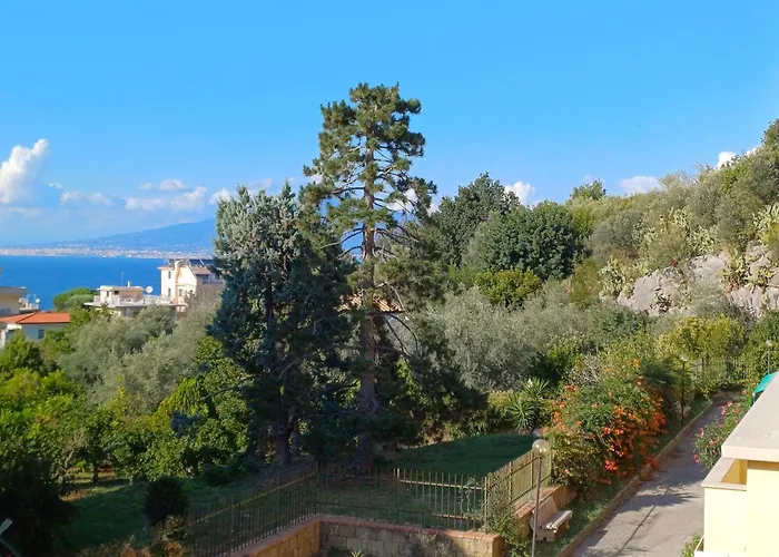 Cinthia سورينتو