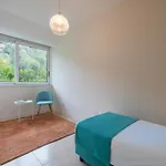 Apartament Cinthia *